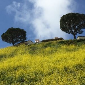 Meet your Posher, Tomoko